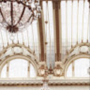 Meet your Posher, Payton